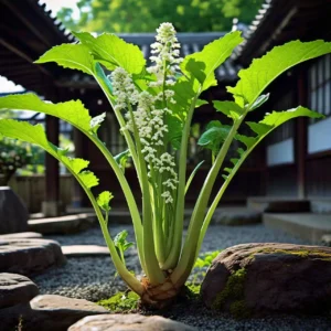 Japanese Horseradish: True Facts About Wasabi